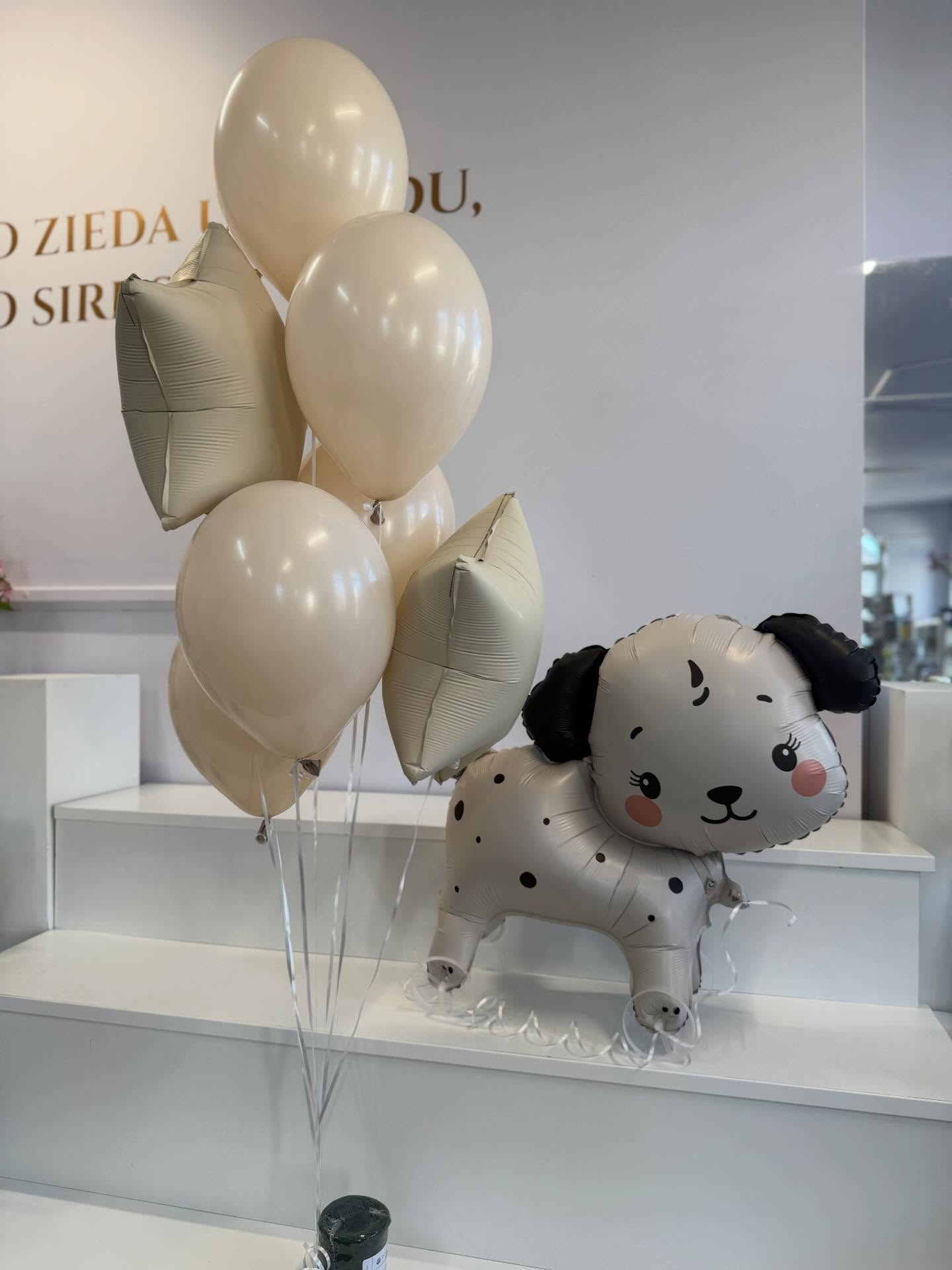 Balonu kompozīcijas